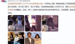 百草被子爆料视频播放,揭秘神秘面纱背后的真实故事